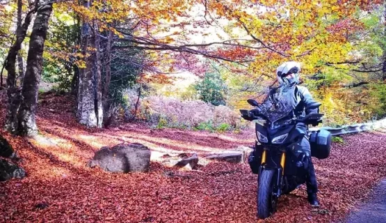 Autunno in moto Foliage in Basilicata Teste di Casco